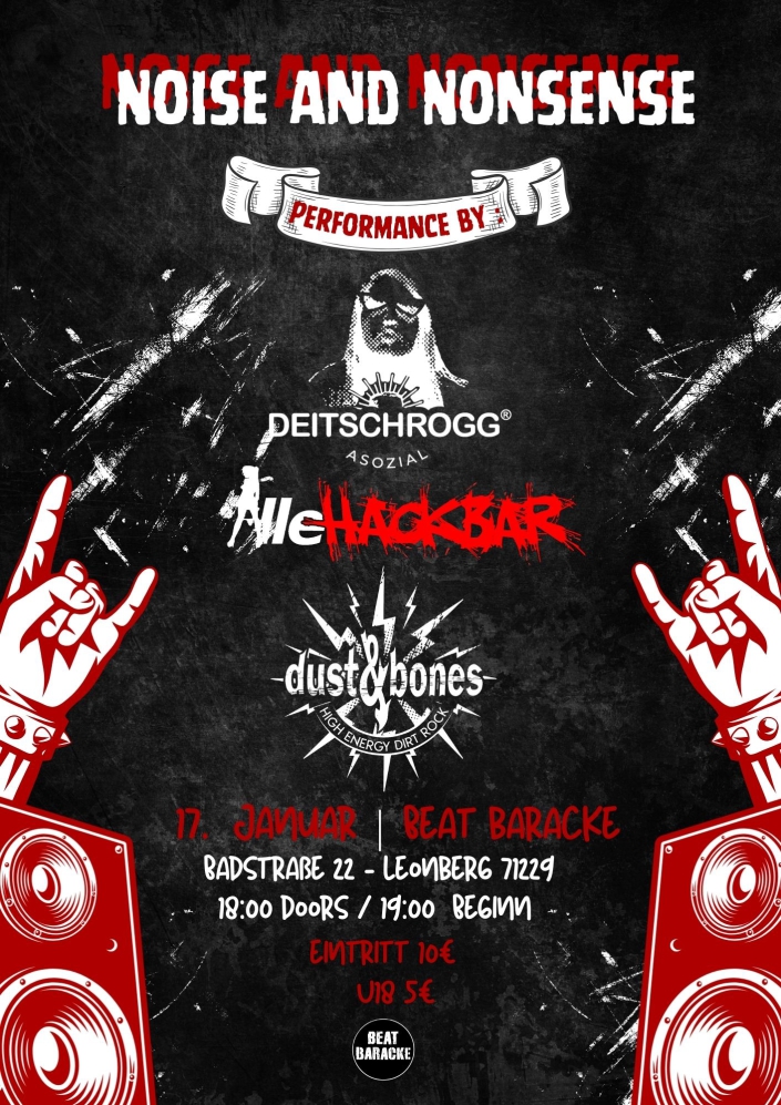 17.01.2026 - NOISE AND NONSENSE