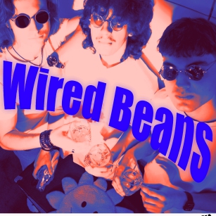 13.11.2026 - Wired Beans in Concert