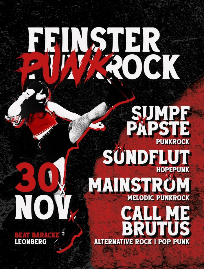 30.11.2024 - Punkrock Konzert